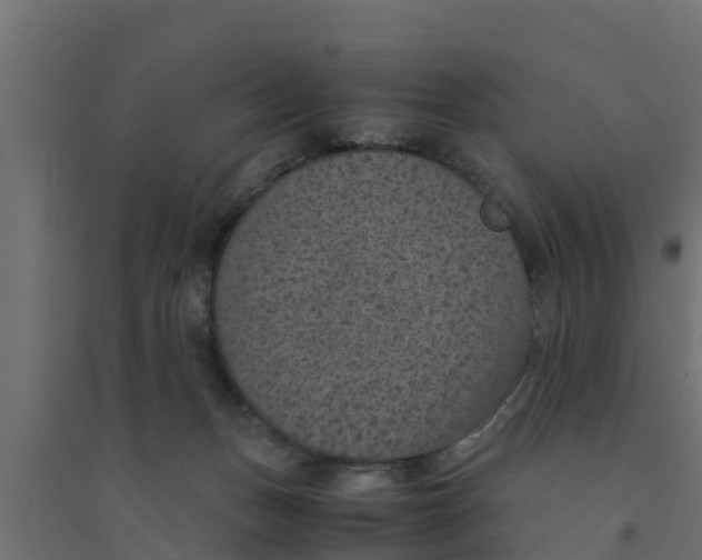 X0000094340175200711241900