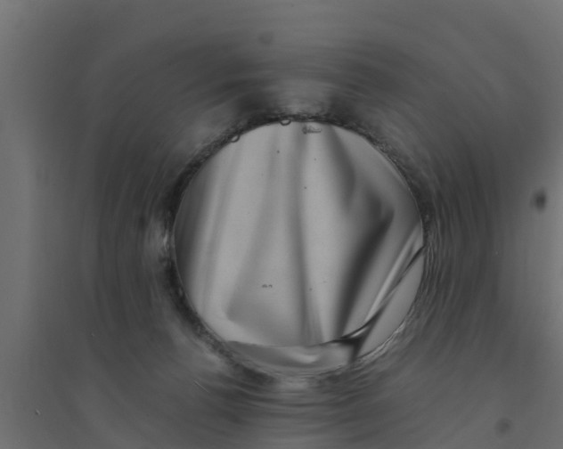 X0000094340176200711241900