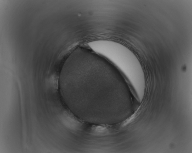 X0000094340180200711241901