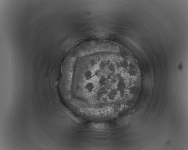 X0000094340181200711241901