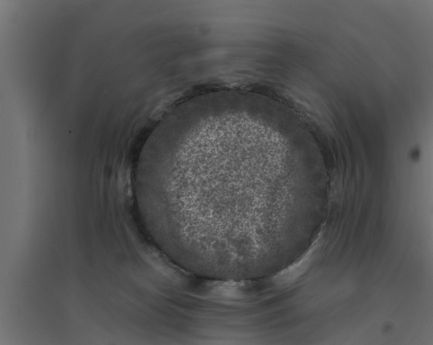 X0000094340182200711241901