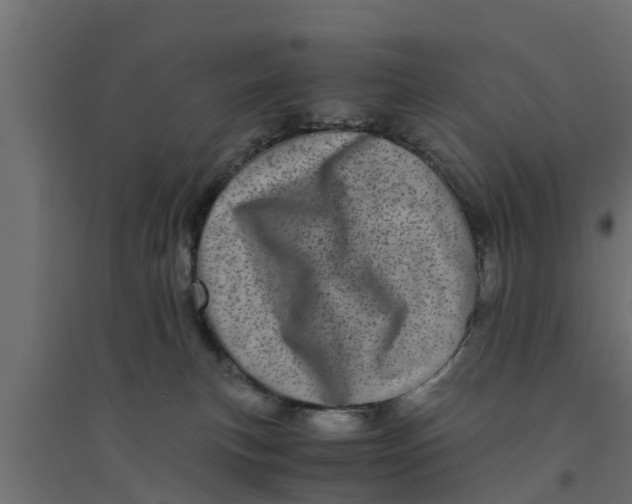 X0000094340183200711241901