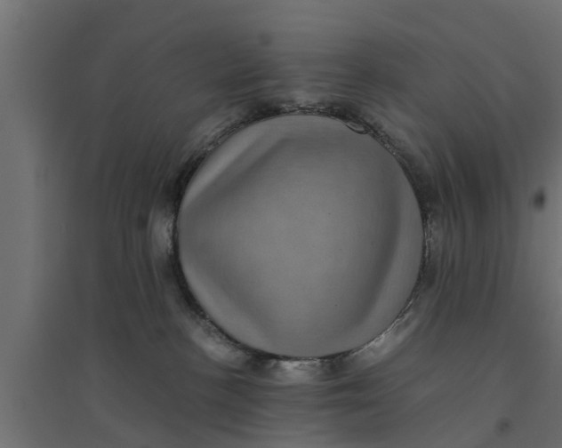 X0000094340188200711241901