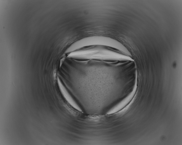 X0000094340190200711241901