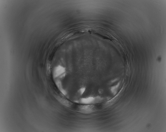 X0000094340191200711241901