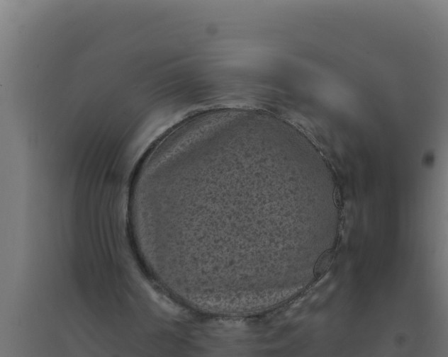 X0000094340194200711241900