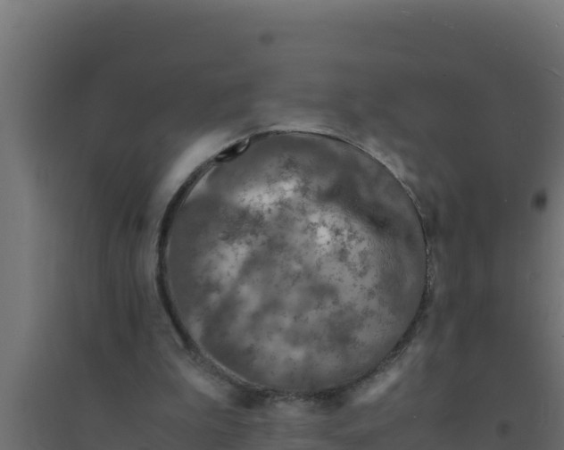 X0000094340199200711241900