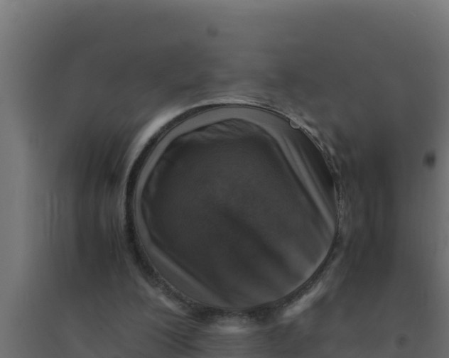 X0000094340200200711241900