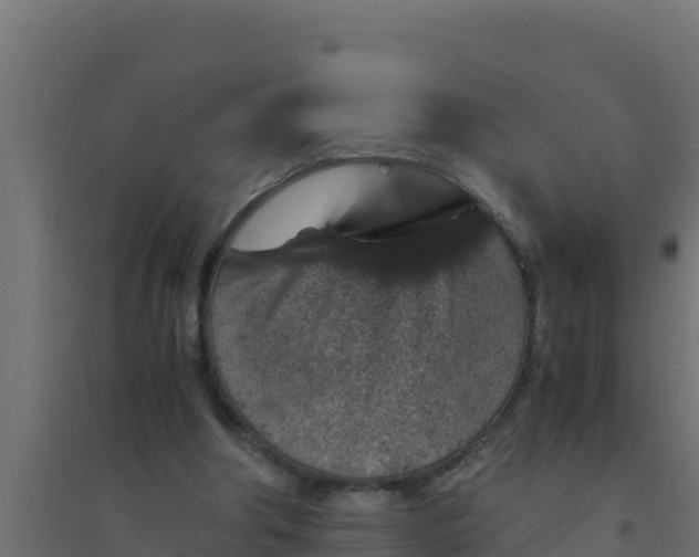 X0000094340202200711241900