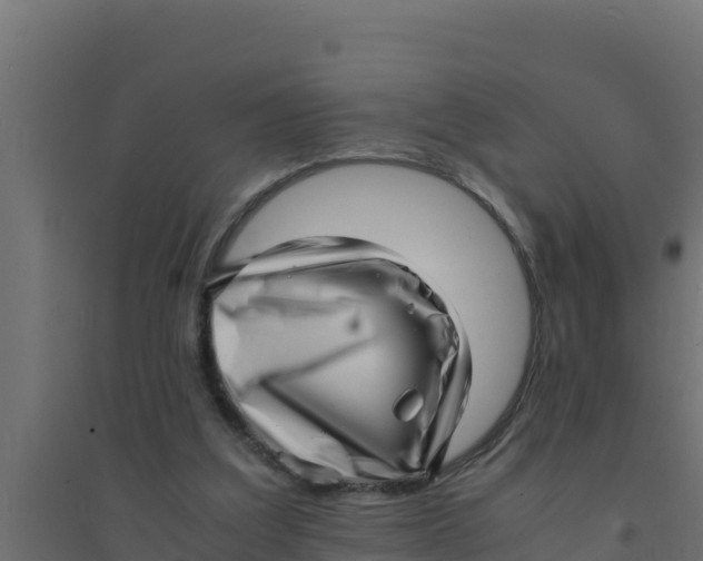 X0000094340203200711241900