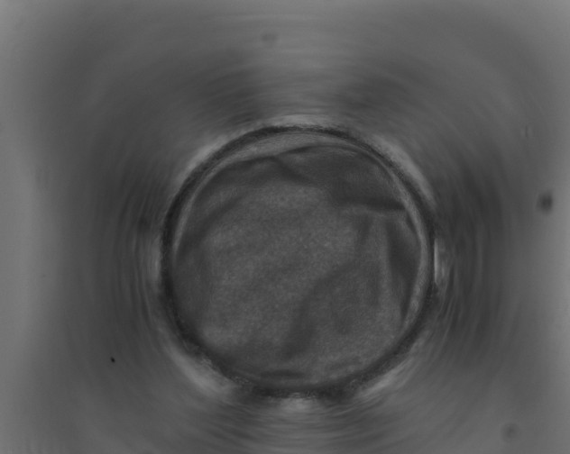 X0000094340204200711241900