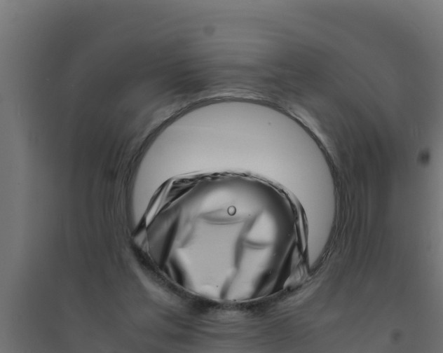 X0000094340205200711241900