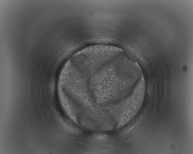 X0000094340206200711241900