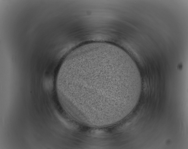 X0000094340208200711241900