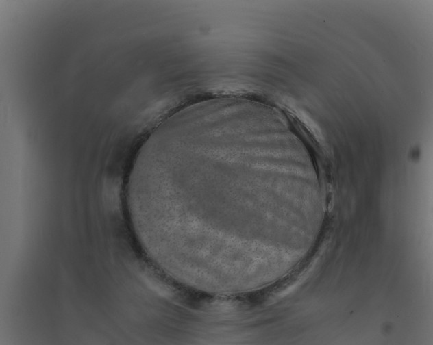 X0000094340209200711241900