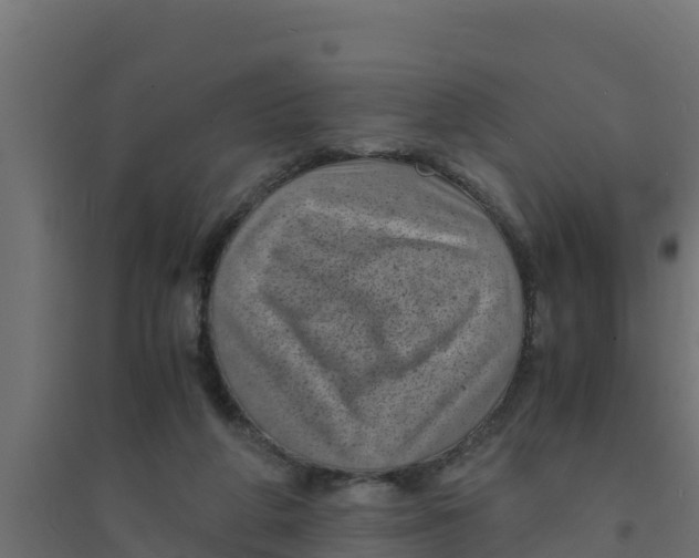 X0000094340210200711241900