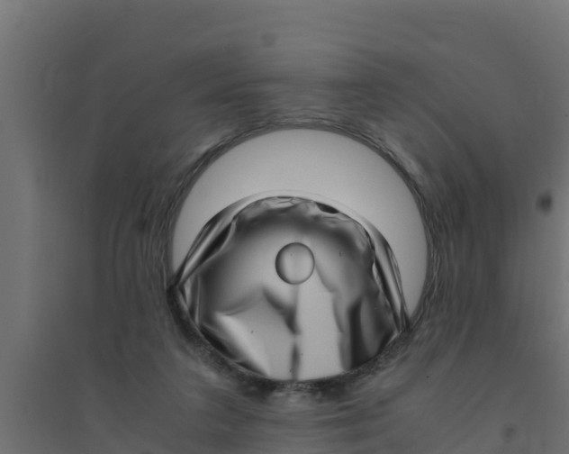 X0000094340211200711241900