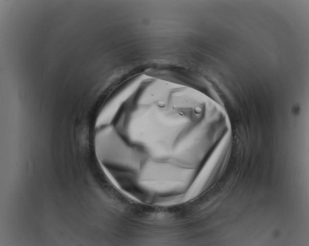 X0000094340212200711241900