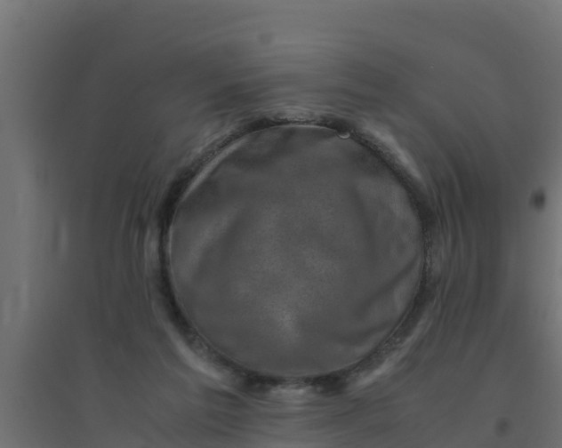 X0000094340213200711241900