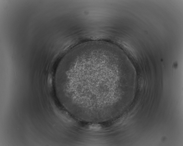 X0000094340214200711241900