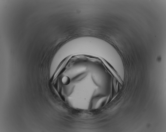 X0000094340215200711241900