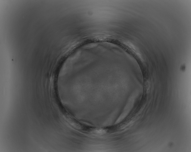 X0000094340217200711241900