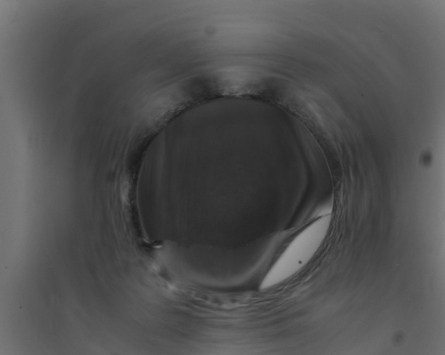 X0000094340219200711241859