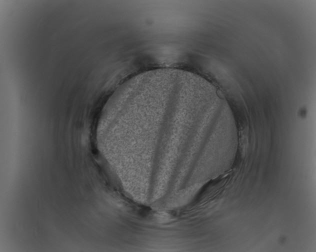 X0000094340221200711241859