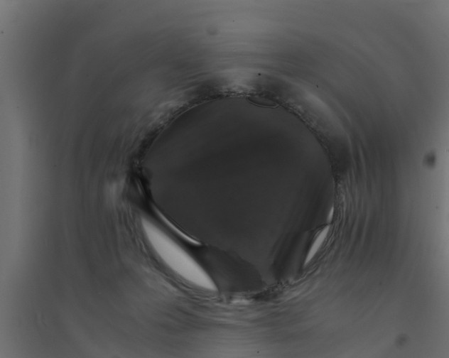 X0000094340223200711241859