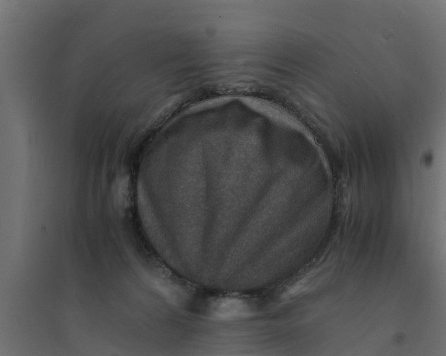 X0000094340224200711241859