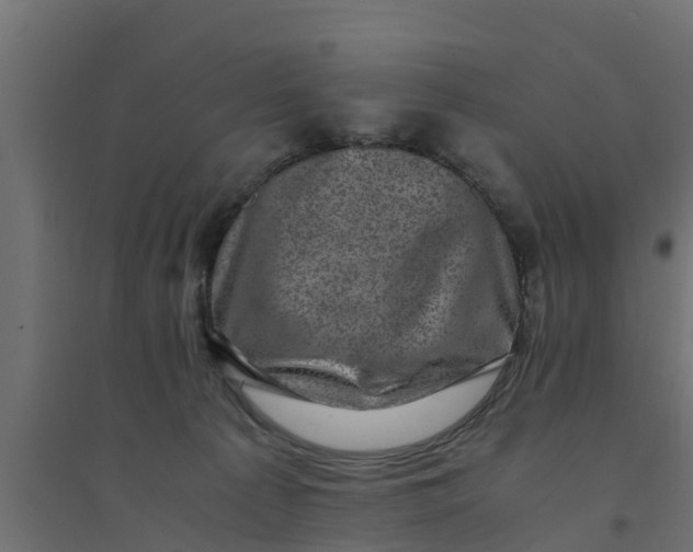 X0000094340225200711241859