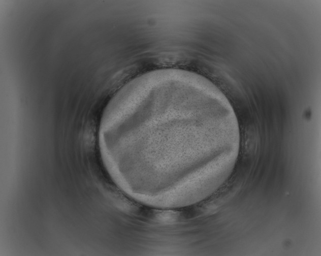 X0000094340226200711241859