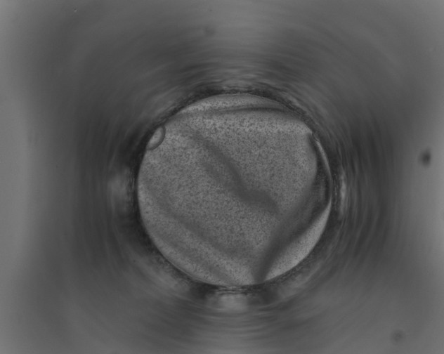 X0000094340228200711241859