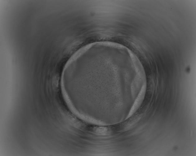 X0000094340230200711241859