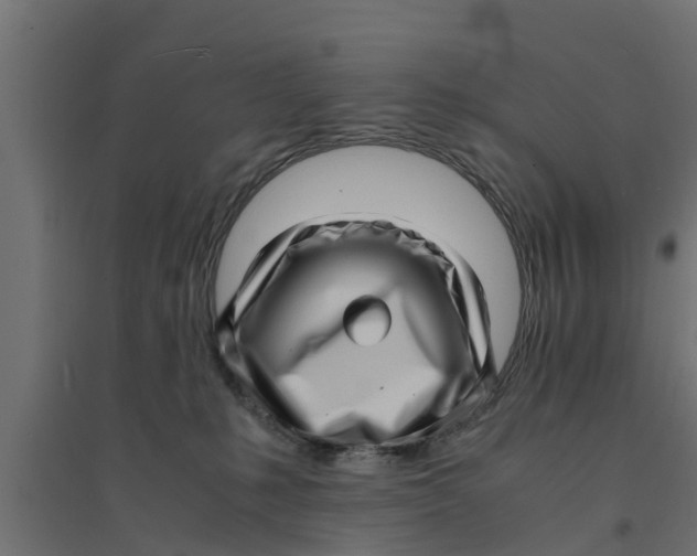 X0000094340231200711241859