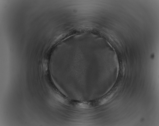 X0000094340232200711241859