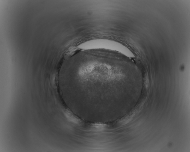 X0000094340233200711241859