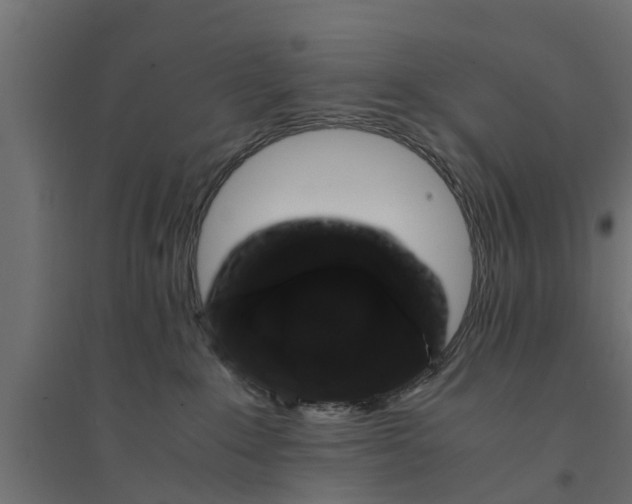 X0000094340235200711241859