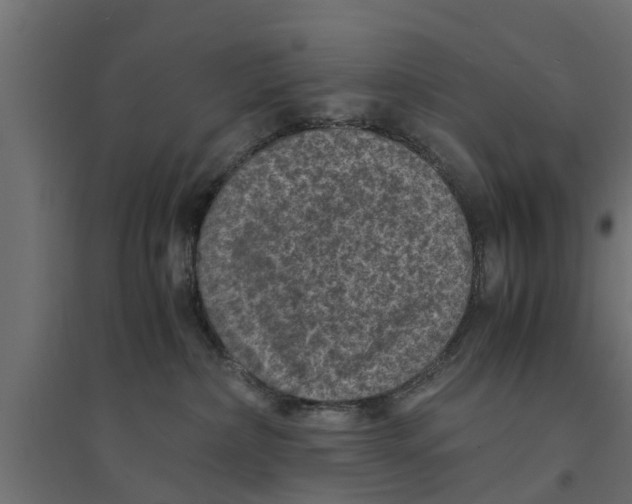 X0000094340236200711241859