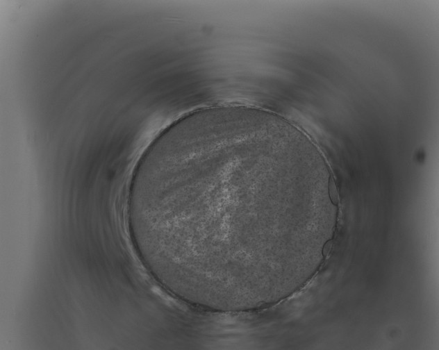 X0000094340241200711241858