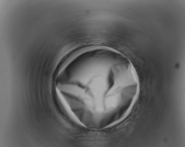 X0000094340242200711241858