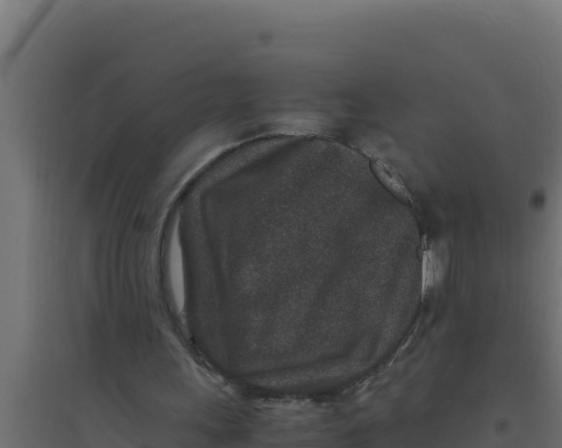 X0000094340243200711241858