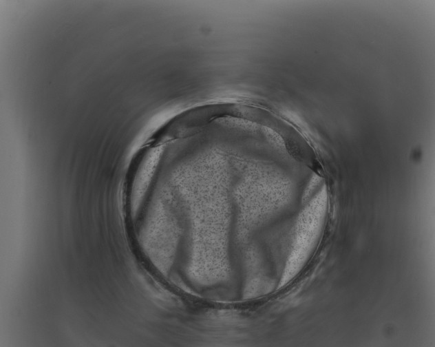 X0000094340244200711241858