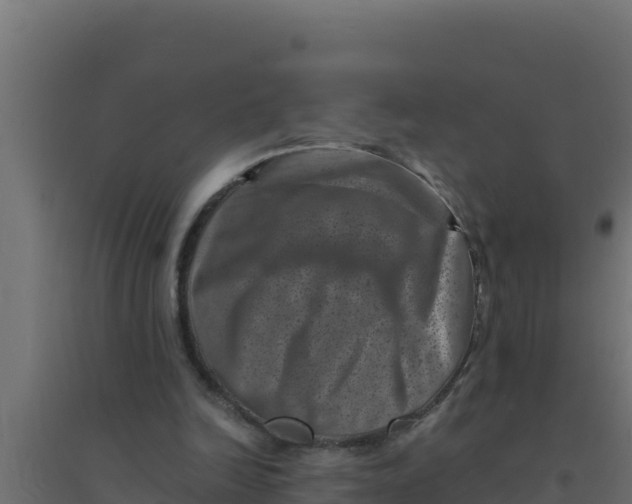 X0000094340246200711241858