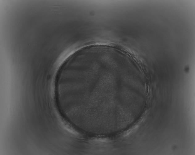 X0000094340247200711241858