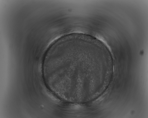 X0000094340249200711241858