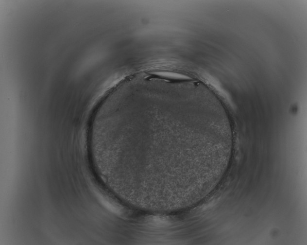 X0000094340250200711241858