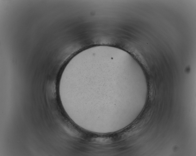 X0000094340251200711241858