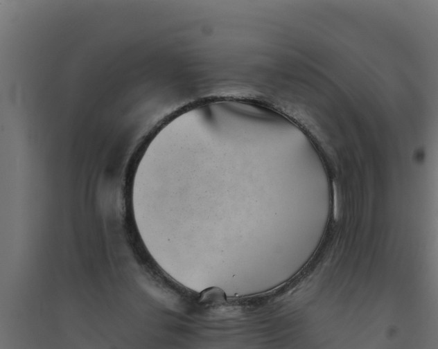 X0000094340252200711241859