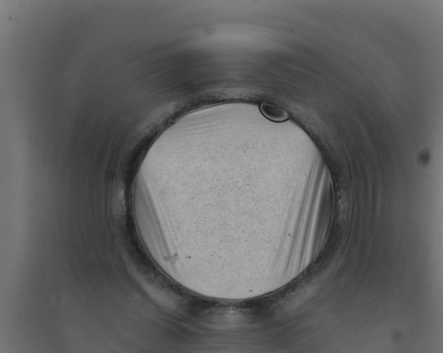 X0000094340254200711241859